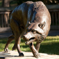 Alta qualidade como fazer uma estátua de lobo